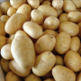 Feedback of Amco Potato